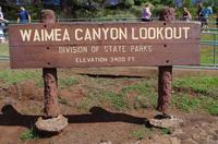 Individuelle Fahrt mit einigen Gästen zum Weimea Canyon auf Kauai im Taxi