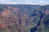 Individuelle Fahrt mit einigen Gästen zum Weimea Canyon auf Kauai im Taxi