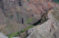 Individuelle Fahrt mit einigen Gästen zum Weimea Canyon auf Kauai im Taxi