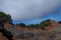 Individuelle Fahrt mit einigen Gästen zum Weimea Canyon auf Kauai im Taxi