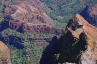 Individuelle Fahrt mit einigen Gästen zum Weimea Canyon auf Kauai im Taxi