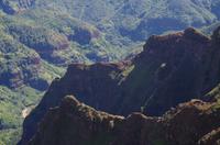 Individuelle Fahrt mit einigen Gästen zum Weimea Canyon auf Kauai im Taxi