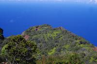 Individuelle Fahrt mit einigen Gästen zum Weimea Canyon auf Kauai im Taxi