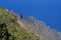 Individuelle Fahrt mit einigen Gästen zum Weimea Canyon auf Kauai im Taxi