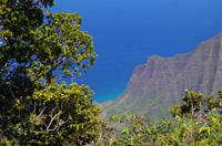 Individuelle Fahrt mit einigen Gästen zum Weimea Canyon auf Kauai im Taxi