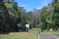 Individuelle Fahrt mit einigen Gästen zum Weimea Canyon auf Kauai im Taxi
