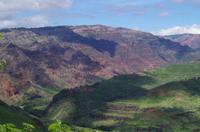 Individuelle Fahrt mit einigen Gästen zum Weimea Canyon auf Kauai im Taxi