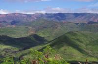 Individuelle Fahrt mit einigen Gästen zum Weimea Canyon auf Kauai im Taxi