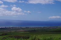 Individuelle Fahrt mit einigen Gästen zum Weimea Canyon auf Kauai im Taxi