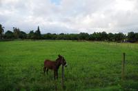 Ausflug NWK18 mit NCL 