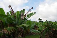 Ausflug NWK18 mit NCL 