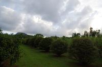 Ausflug NWK18 mit NCL 