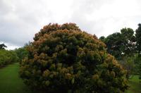 Ausflug NWK18 mit NCL 