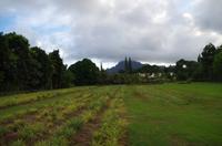 Ausflug NWK18 mit NCL 