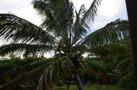 Ausflug NWK18 mit NCL 