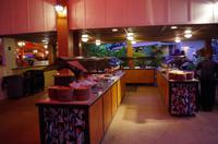 Ausflug NWK18 mit NCL 