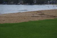 Spaziergang am Strand und Baden in Nawiliwili auf Kauai