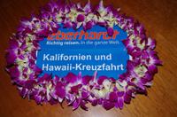 Gemeinsamer Abschiedsdrink auf der 