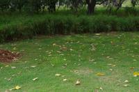 Besuch des Diamond Head in Honolulu auf O'ahu