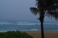 Fahrt zum Tempel Byodo-In in Honolulu auf O'ahu
