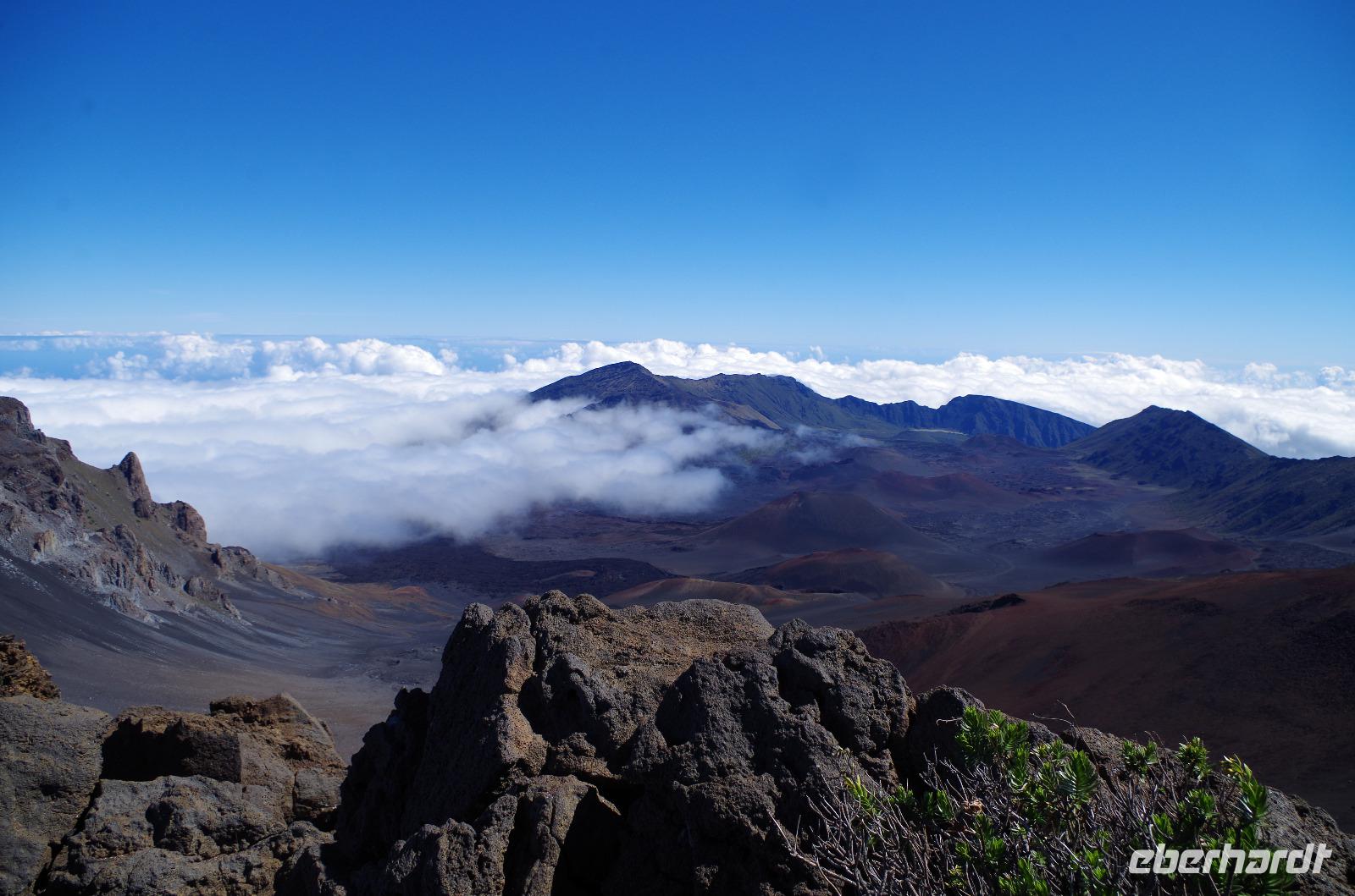 Ausflug OGG01 mit NCL zum Haleakala Krater auf Maui