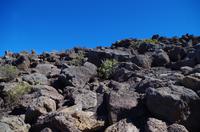 Ausflug OGG01 mit NCL zum Haleakala Krater auf Maui