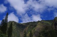 Individuelle Inselrundfahrt Maui mit allen Gästen im Taxi