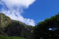 Individuelle Inselrundfahrt Maui mit allen Gästen im Taxi