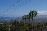 Individuelle Inselrundfahrt Maui mit allen Gästen im Taxi