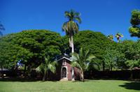 Individuelle Inselrundfahrt Maui mit allen Gästen im Taxi