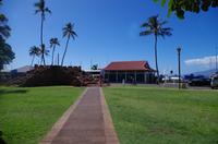 Individuelle Inselrundfahrt Maui mit allen Gästen im Taxi