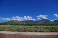 Individuelle Inselrundfahrt Maui mit allen Gästen im Taxi