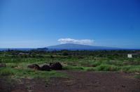 Individuelle Inselrundfahrt Maui mit allen Gästen im Taxi