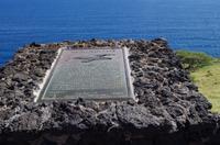 Individuelle Inselrundfahrt Maui mit allen Gästen im Taxi