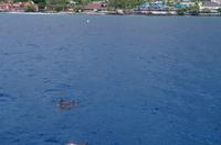 Ausflug KOA45 mit NCL 