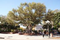 Olvera Street, Grundsteinlegung von Los Angeles
