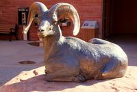 Arches National Park