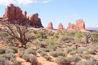 Arches National Park