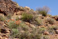 Arches National Park