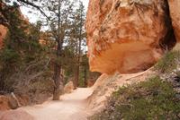 Bryce Canyon