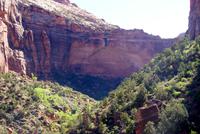 Giant Arch im Dixie National Forest