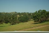 unterwegs nach Bakersfield