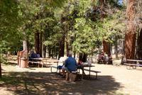 wunderbares Picknick am Wawona Fluss