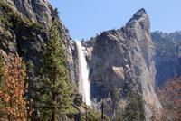 Yosemite National Park