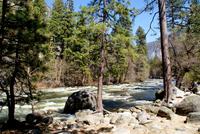 Yosemite National Park