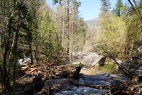 Yosemite National Park