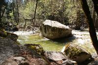 Yosemite National Park