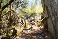 Wanderung zum Mirror Lake