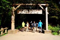 Wanderung im Muir Woods Nationalpark