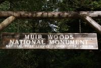 Wanderung im Muir Woods Nationalpark